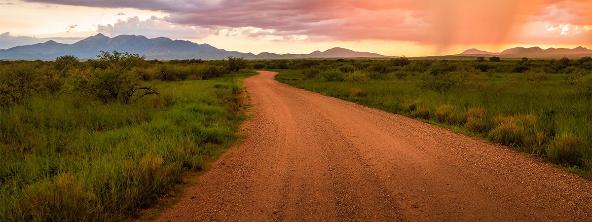 Winding dirt road in rural area