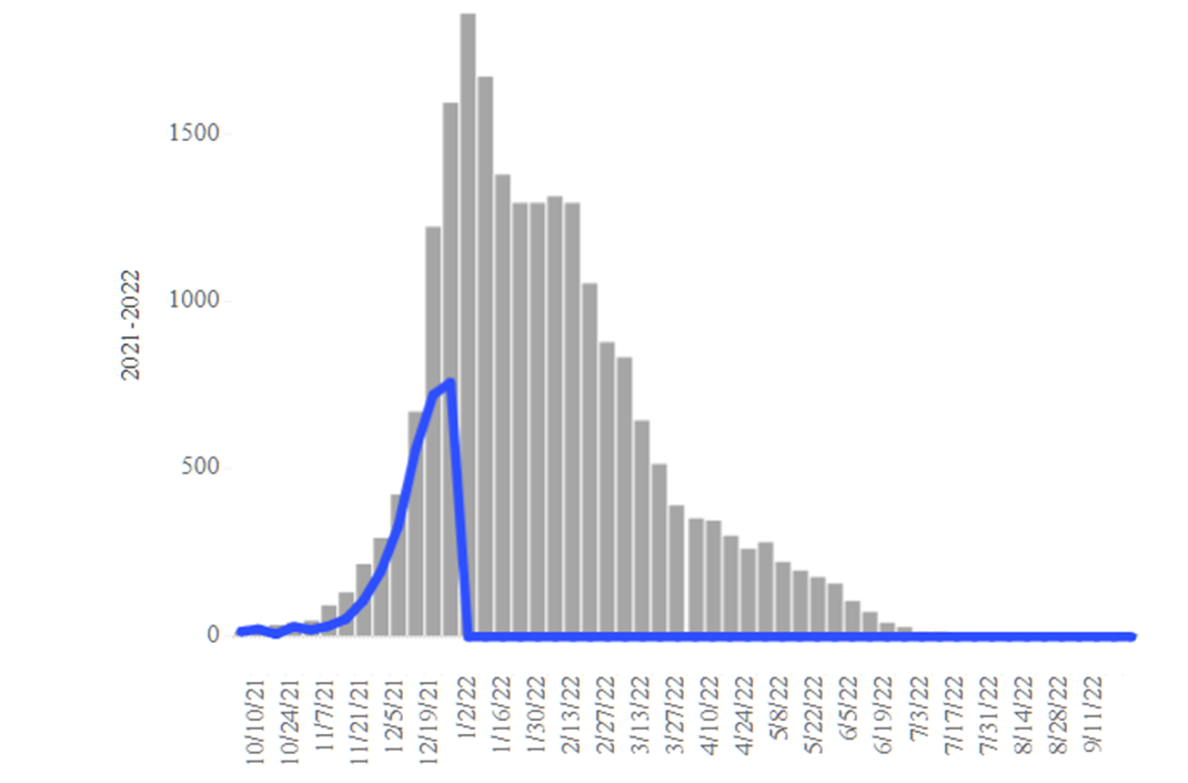 COVID-19 Disease Outbreak Forecast