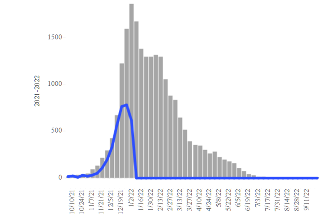 COVID-19 Disease Outbreak Forecast