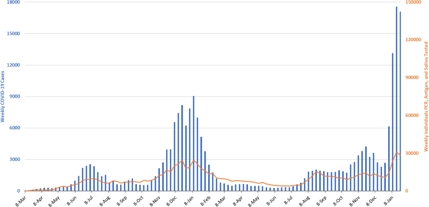 COVID-19 Disease Outbreak Forecast