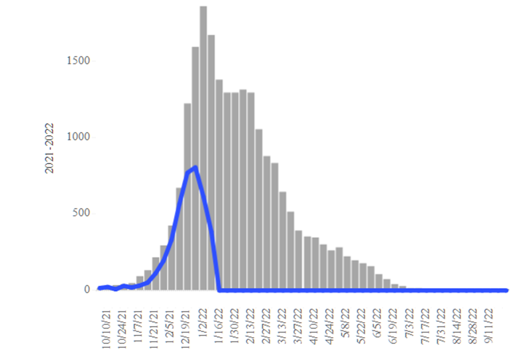 COVID-19 Disease Outbreak Forecast