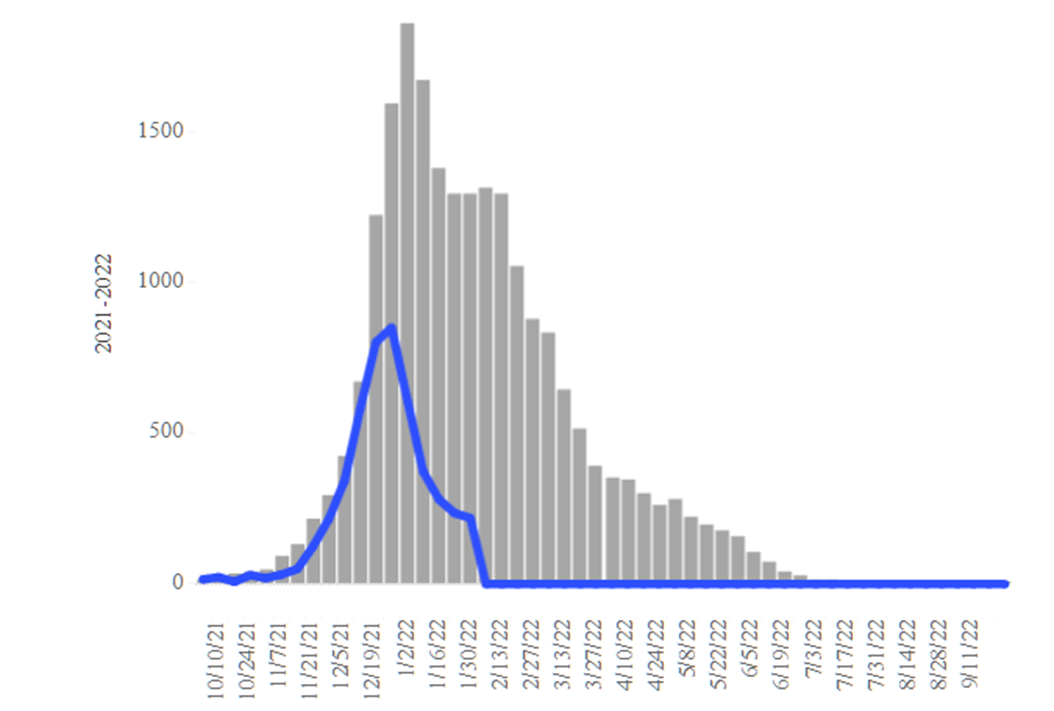 COVID-19 Disease Outbreak Forecast