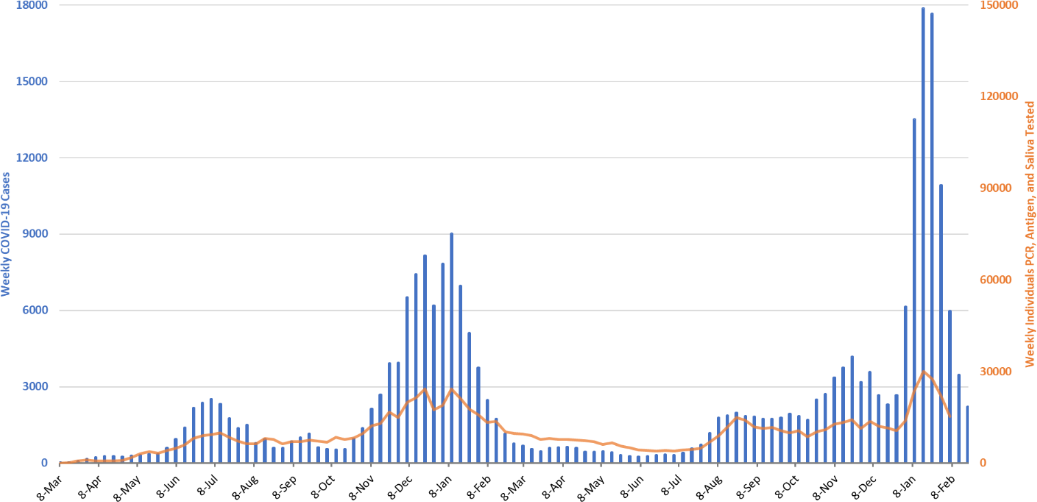 COVID-19 Disease Outbreak Forecast