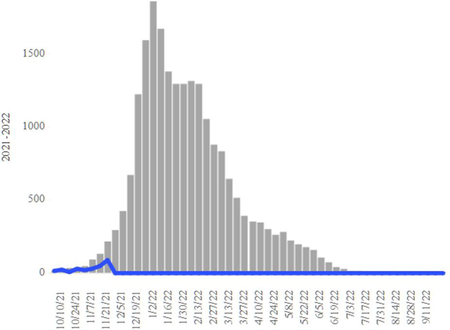 COVID-19 Disease Outbreak Forecast