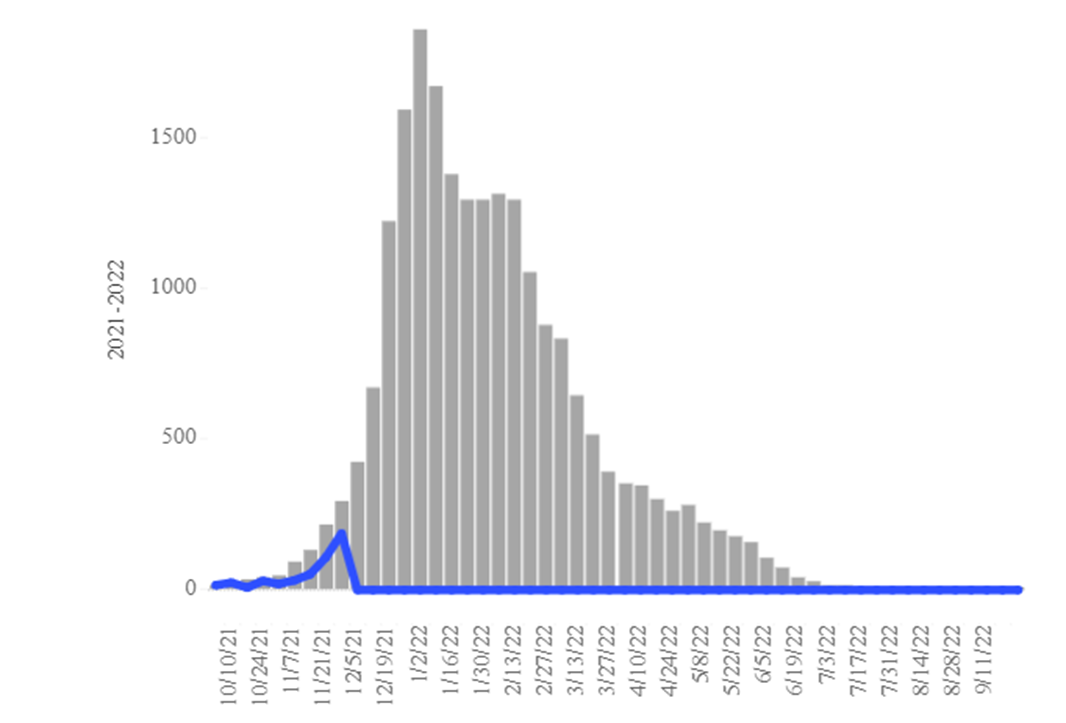 COVID-19 Disease Outbreak Forecast