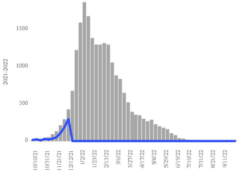 COVID-19 Disease Outbreak Forecast