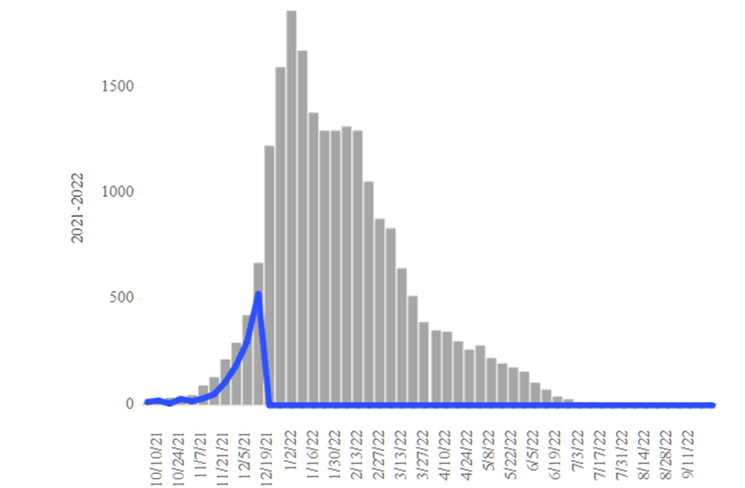 COVID-19 Disease Outbreak Forecast