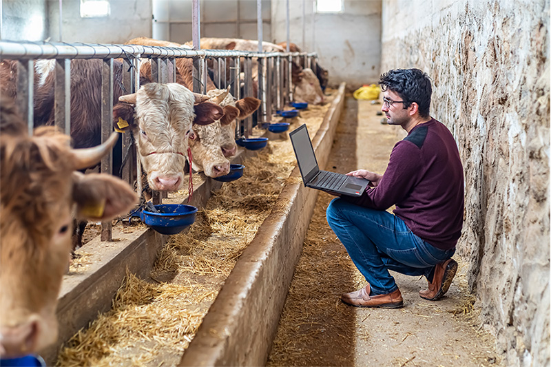 person in a barn